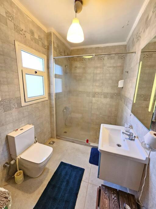Brand New Aprt In Degla Maadi Apartment
